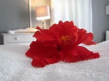 ***  Hotel Odissea كانّيتو إيطاليا