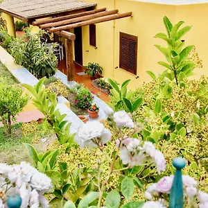 Il Veliero Blu Centro Appartamento