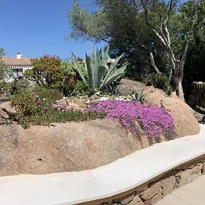 L'olivastro Casa vacanze Porto Cervo